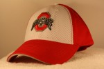 Ohio State Mesh Hat