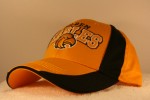 Southerm Mississippi Eagles Blitz Hat